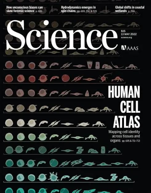 Cover image for Human Cell Atlas